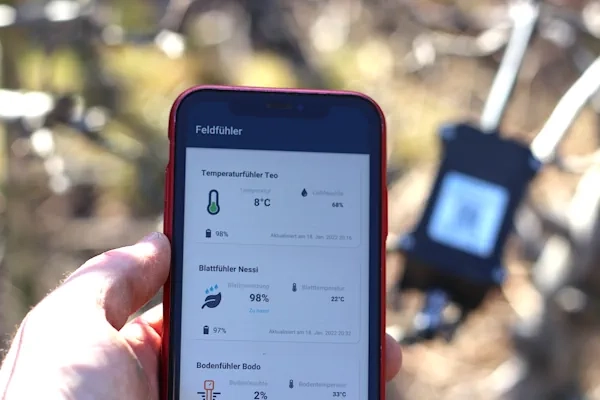 Handy mit Feldfühler App in der Hand