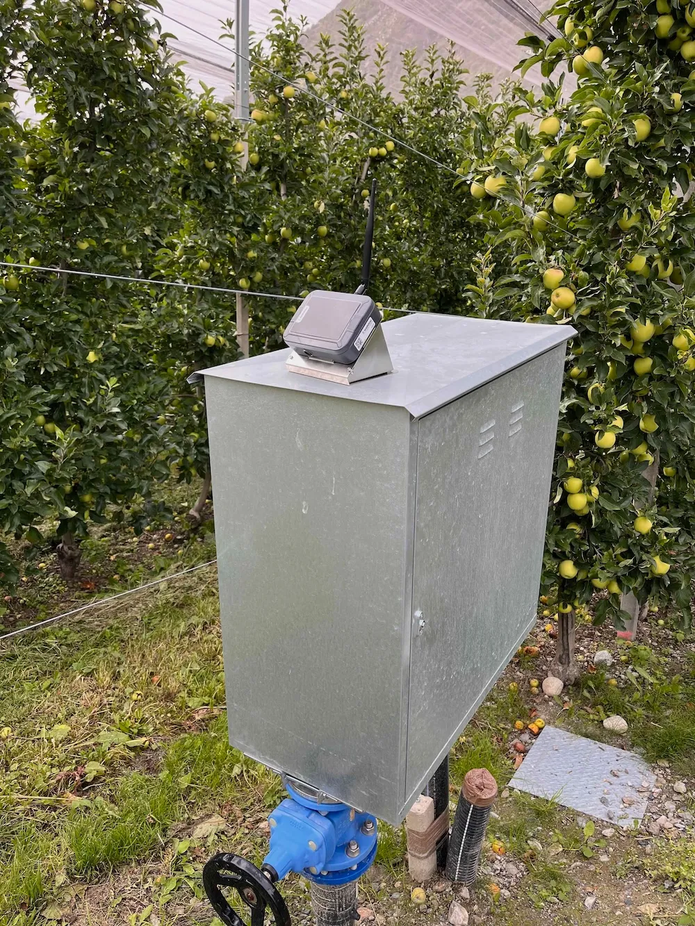 Bewässerungssteuerung Bernd
